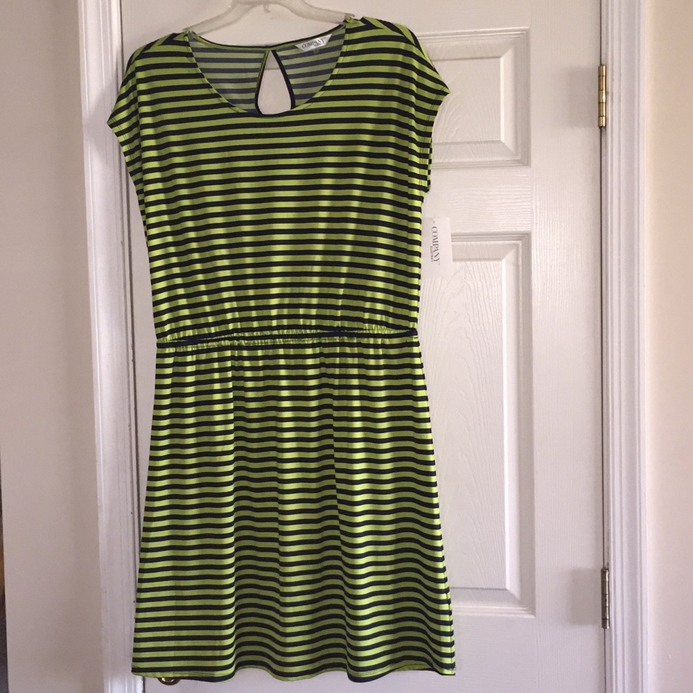 Ellen Tracy Company Stripe Dress
